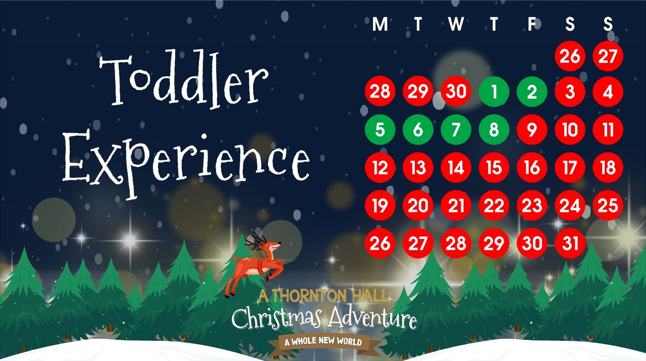 The Toddler Christmas Adventure